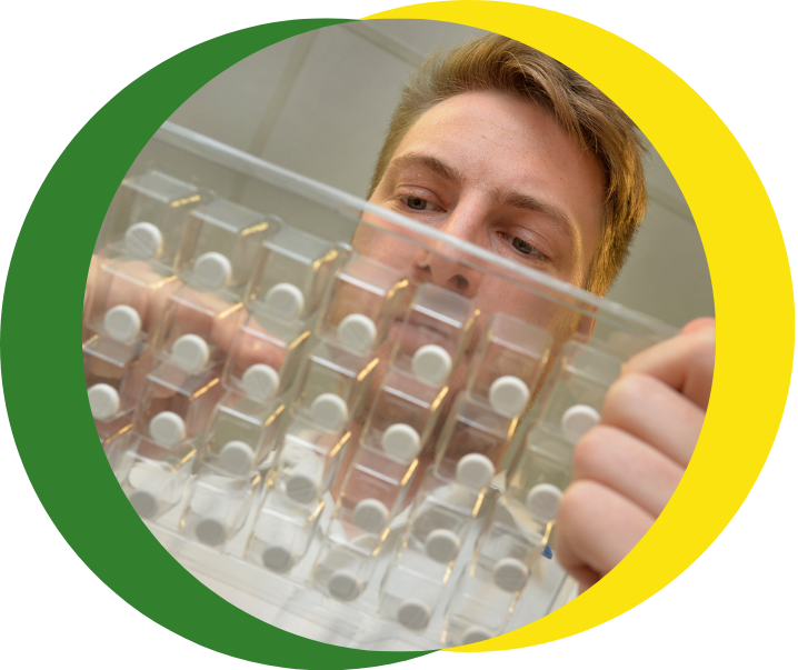 A pharmacist puts medication into a tray