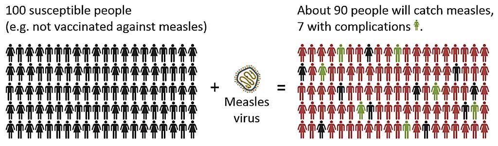 Infographic Measles